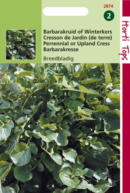 Land cress (Barbarea verna) 2100 seeds